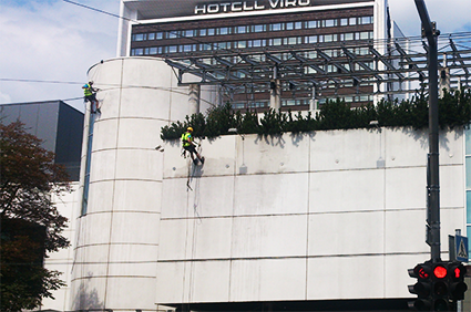 Faili Skyproff Survepesu Viru Keskus Facade cleaning and maintenance at height