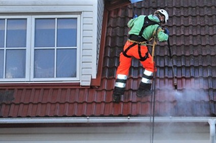 Katusepesu 1 Roof cleaning